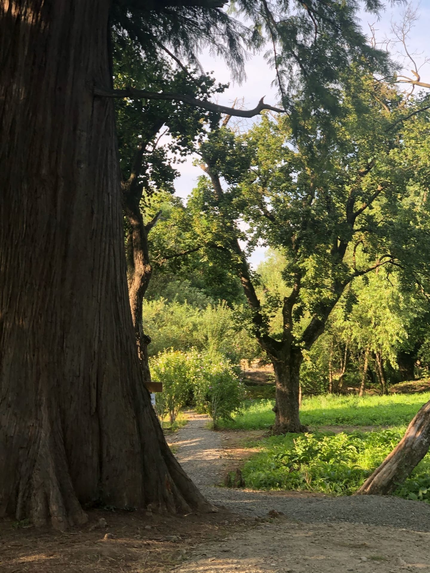 Natură la Domeniile Murani